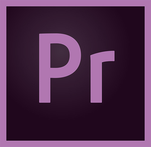 Adobe Premiere Pro 1년 기업용 라이선스
